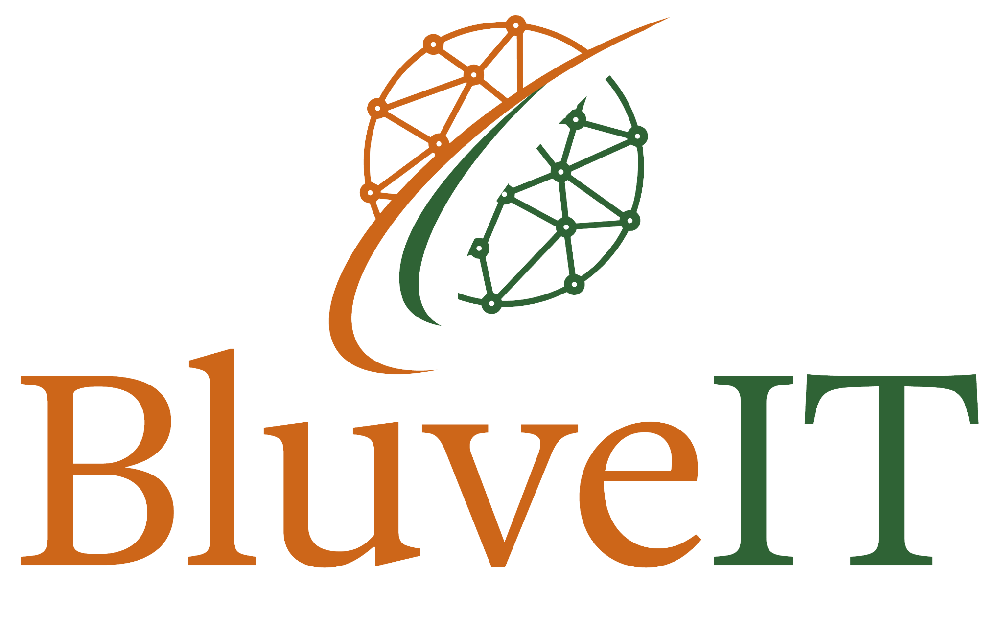 BluveIT logo